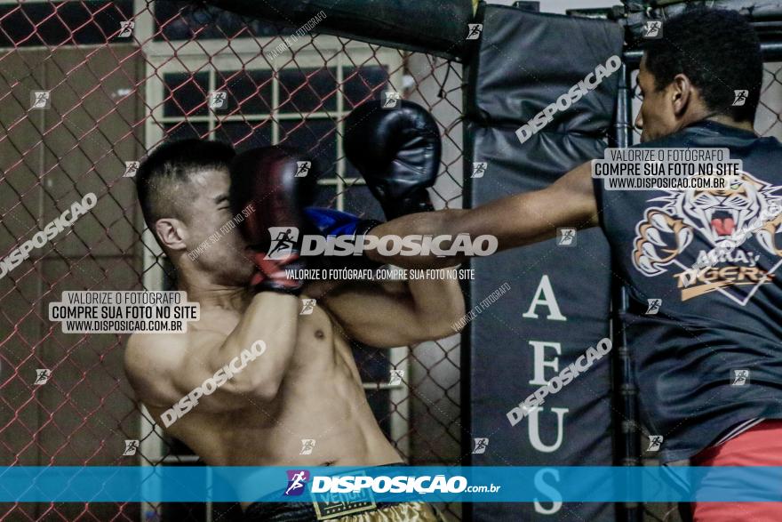 Maringá Fight Combat 65ª Edição