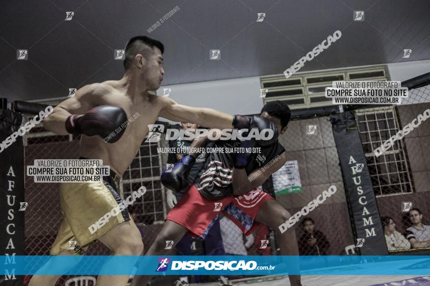 Maringá Fight Combat 65ª Edição