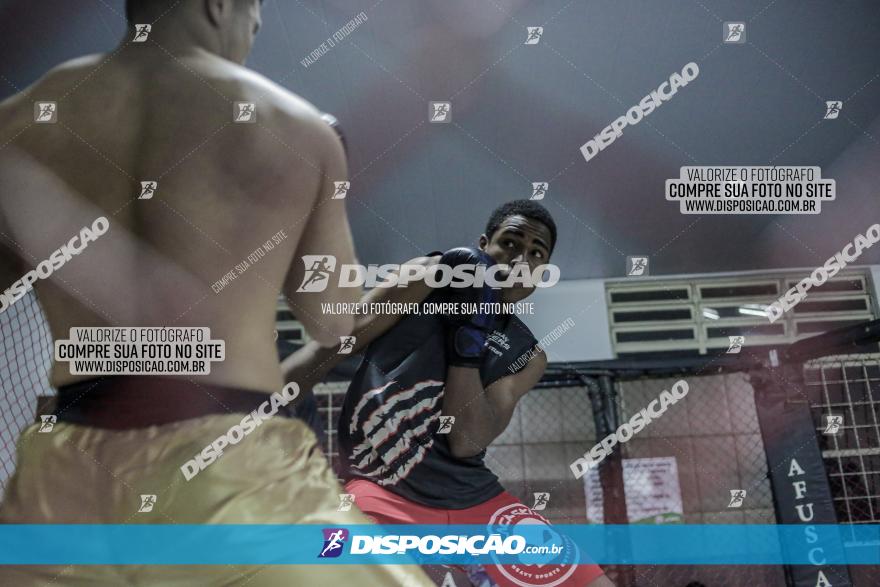 Maringá Fight Combat 65ª Edição