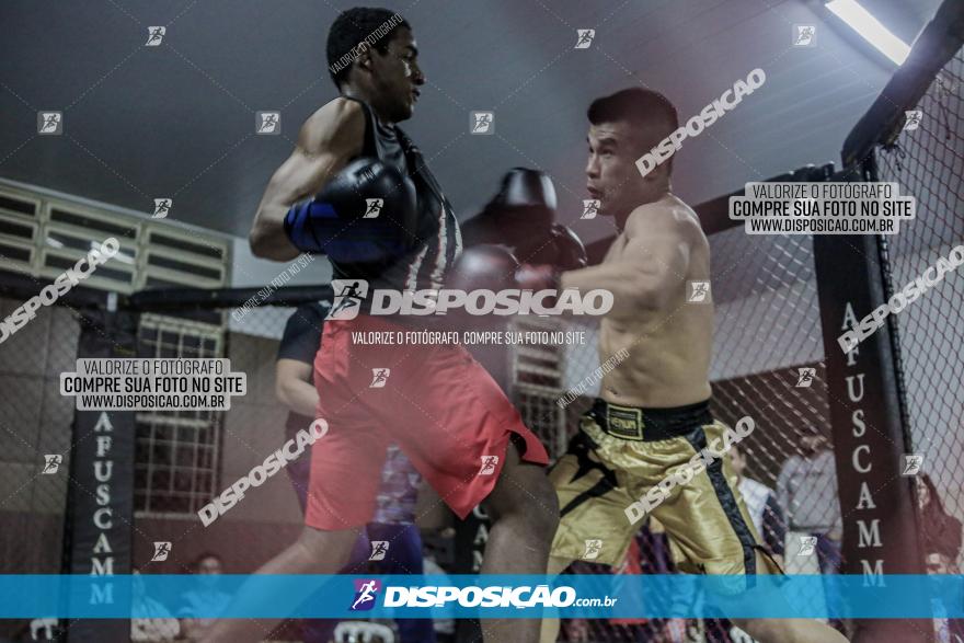 Maringá Fight Combat 65ª Edição