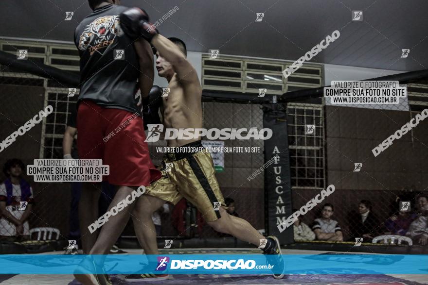 Maringá Fight Combat 65ª Edição