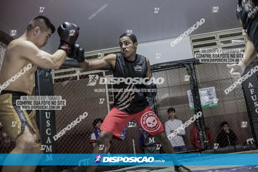 Maringá Fight Combat 65ª Edição