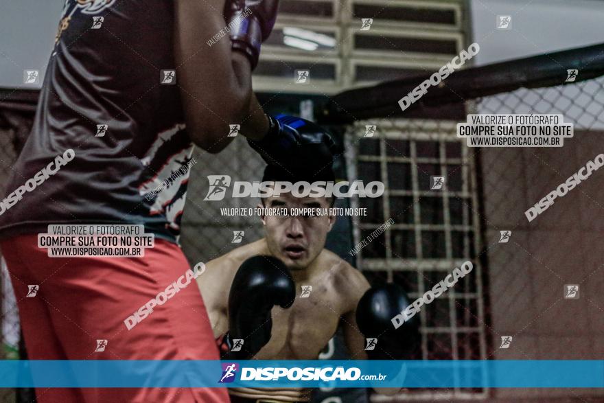 Maringá Fight Combat 65ª Edição