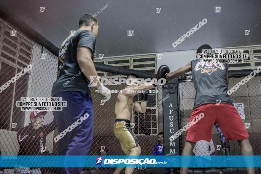 Maringá Fight Combat 65ª Edição