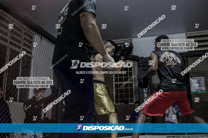 Maringá Fight Combat 65ª Edição