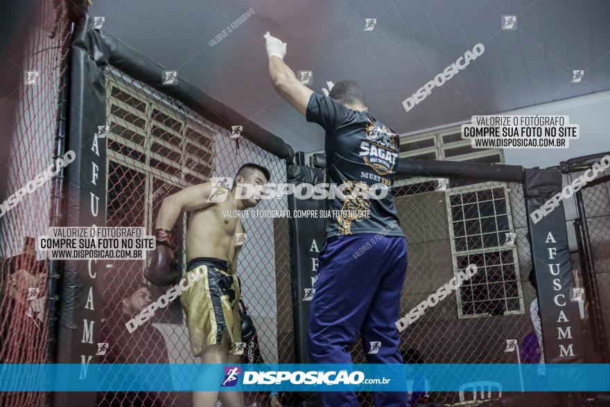 Maringá Fight Combat 65ª Edição