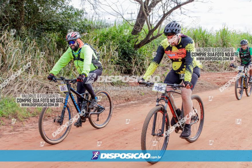 MTB Raízes Cicloturismo