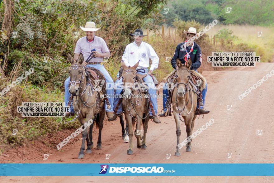 MTB Raízes Cicloturismo