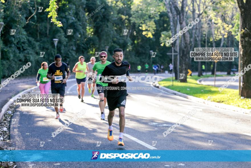 Corrida Mexa-se Pela Vida - Maringá