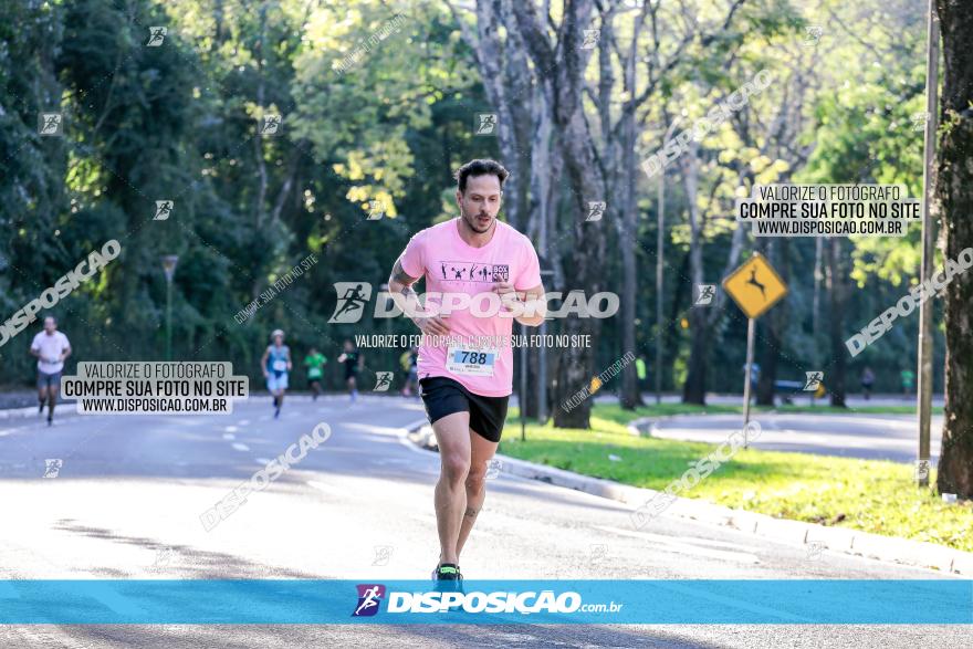 Corrida Mexa-se Pela Vida - Maringá