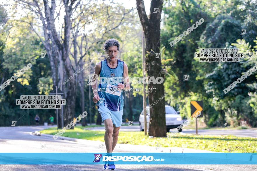 Corrida Mexa-se Pela Vida - Maringá