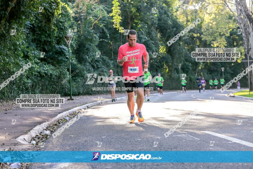 Corrida Mexa-se Pela Vida - Maringá