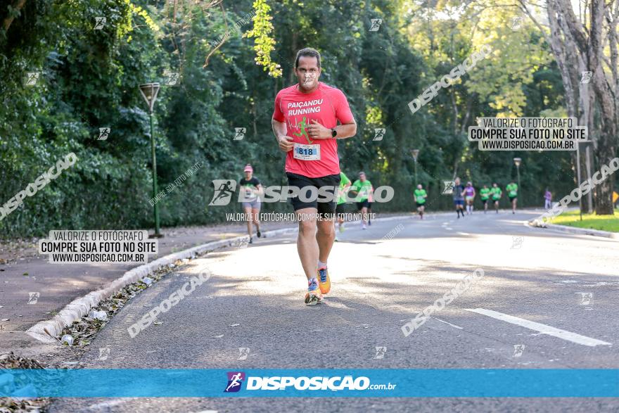 Corrida Mexa-se Pela Vida - Maringá