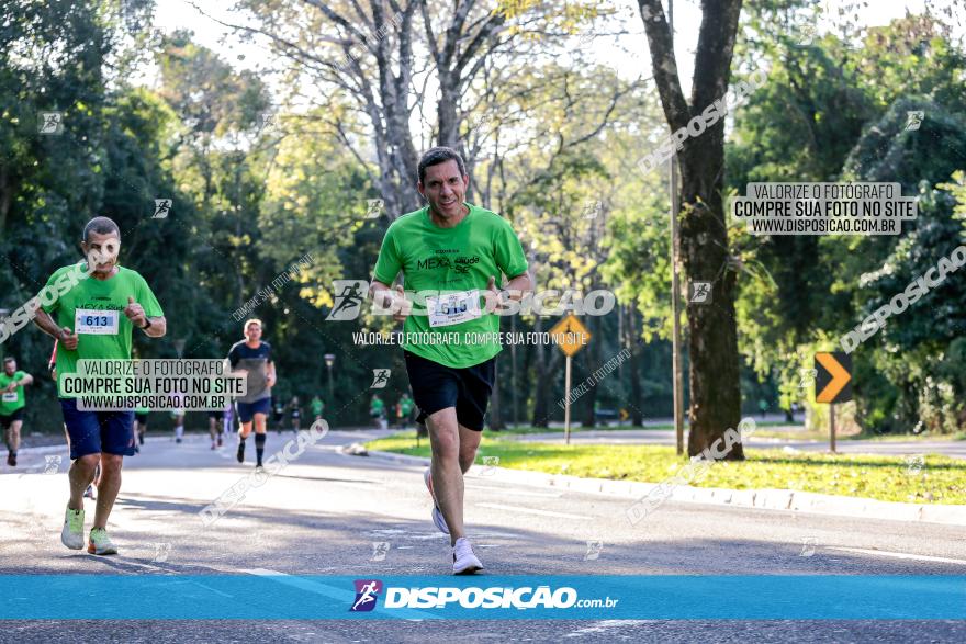 Corrida Mexa-se Pela Vida - Maringá