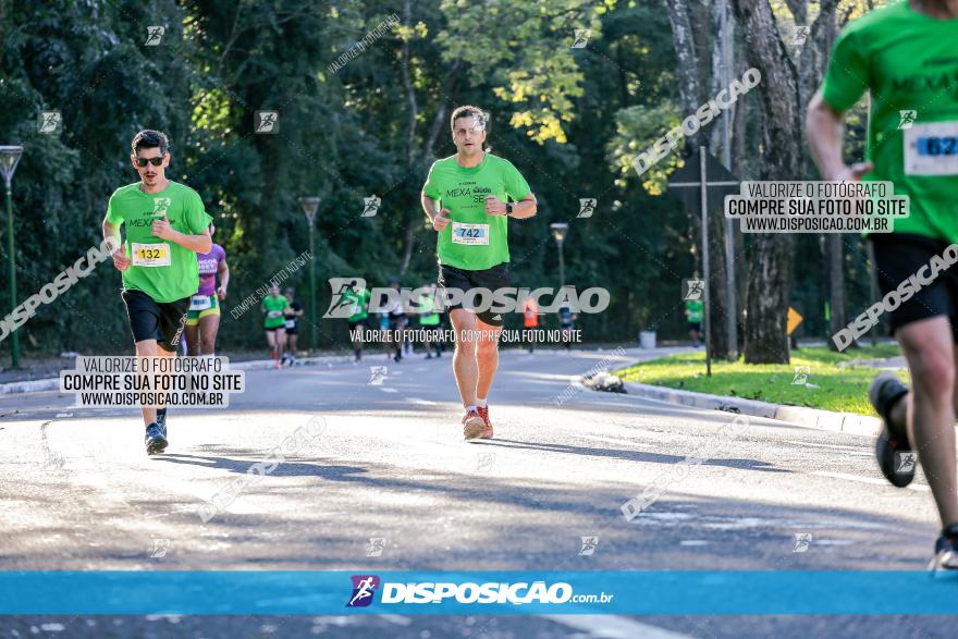 Corrida Mexa-se Pela Vida - Maringá