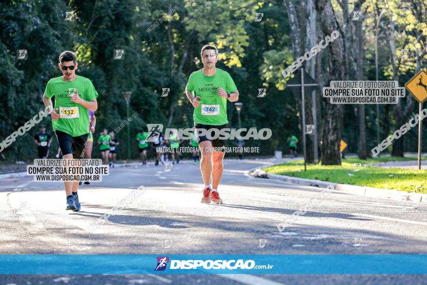 Corrida Mexa-se Pela Vida - Maringá