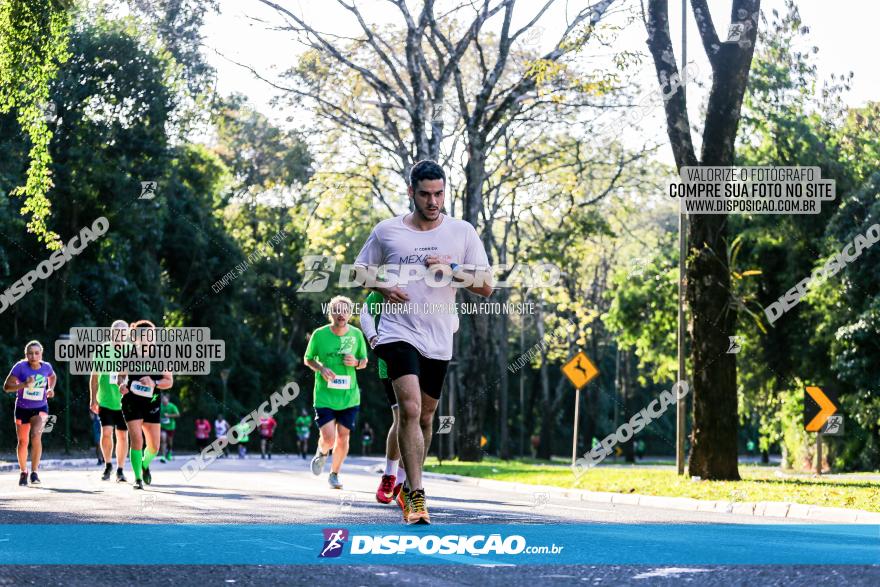 Corrida Mexa-se Pela Vida - Maringá