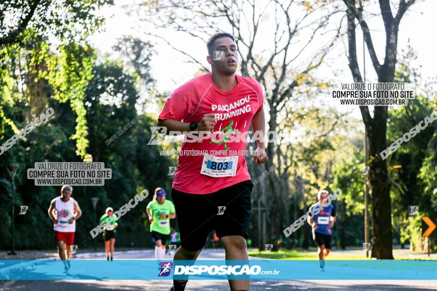 Corrida Mexa-se Pela Vida - Maringá