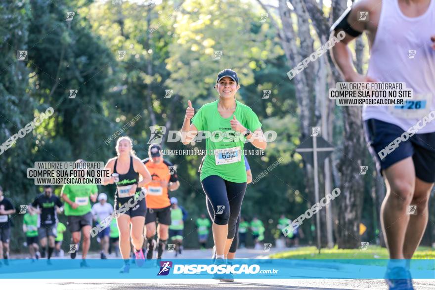 Corrida Mexa-se Pela Vida - Maringá