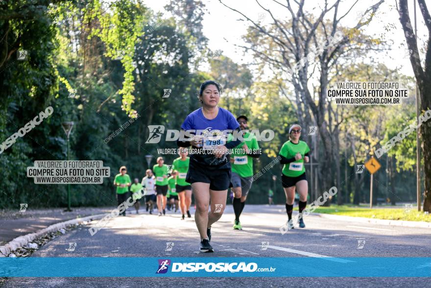 Corrida Mexa-se Pela Vida - Maringá