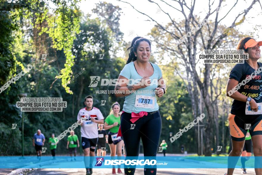 Corrida Mexa-se Pela Vida - Maringá