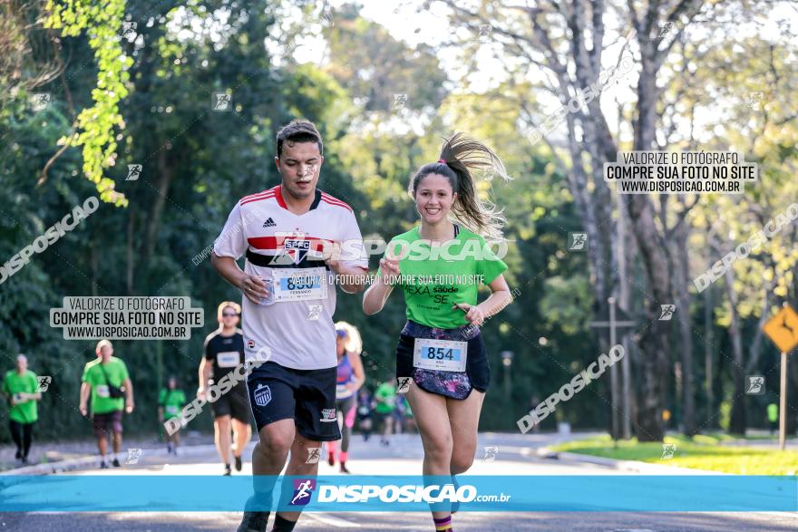 Corrida Mexa-se Pela Vida - Maringá