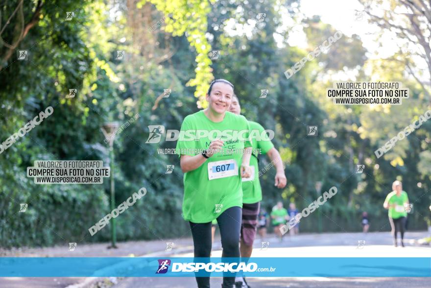 Corrida Mexa-se Pela Vida - Maringá