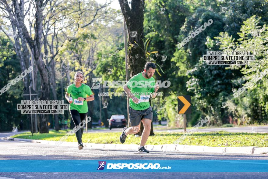 Corrida Mexa-se Pela Vida - Maringá