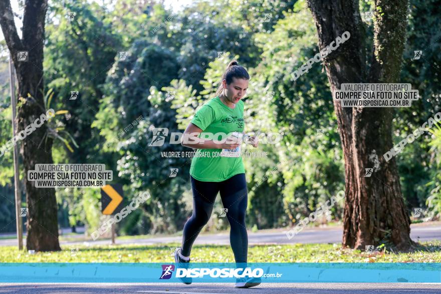 Corrida Mexa-se Pela Vida - Maringá