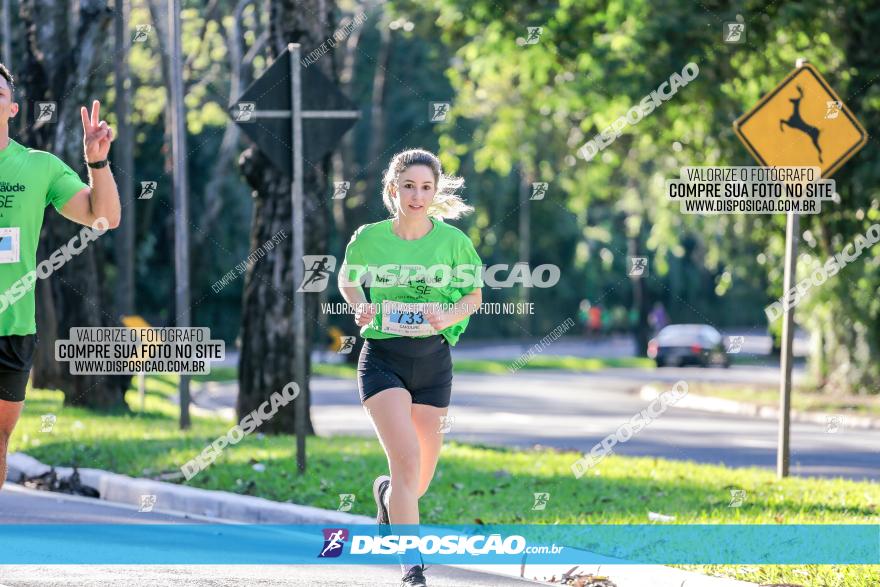 Corrida Mexa-se Pela Vida - Maringá