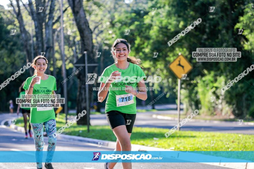 Corrida Mexa-se Pela Vida - Maringá