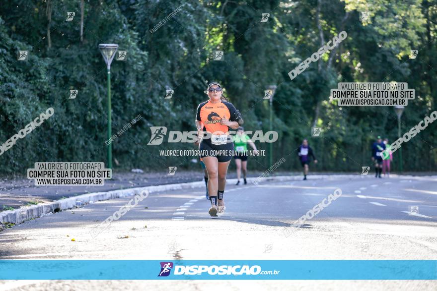 Corrida Mexa-se Pela Vida - Maringá