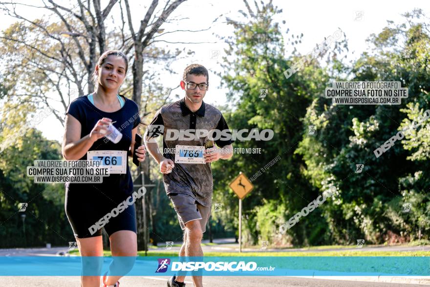 Corrida Mexa-se Pela Vida - Maringá