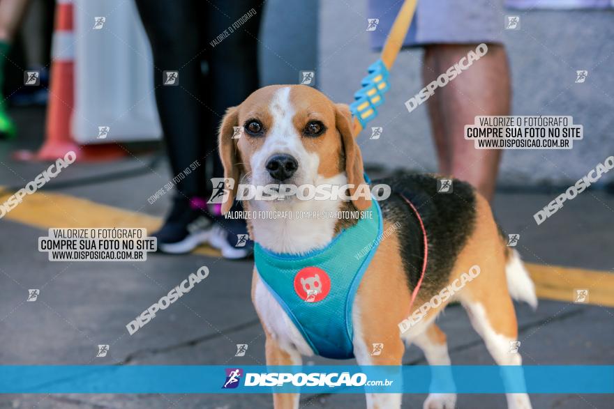 Corrida Mexa-se Pela Vida - Maringá