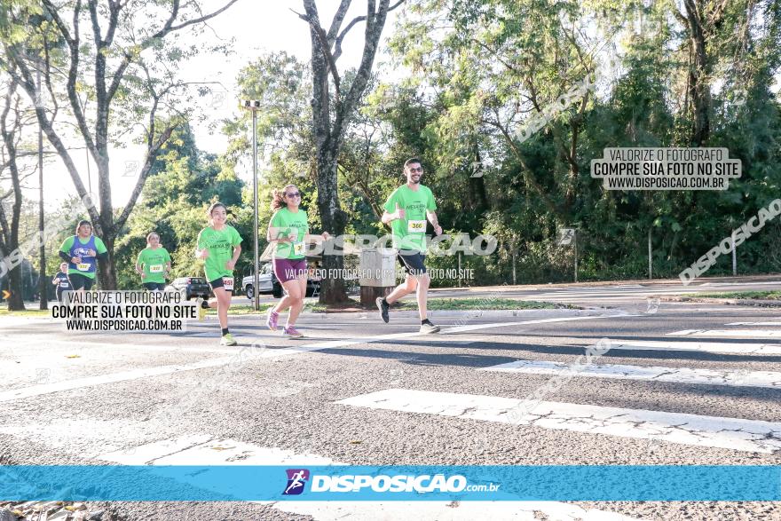 Corrida Mexa-se Pela Vida - Maringá