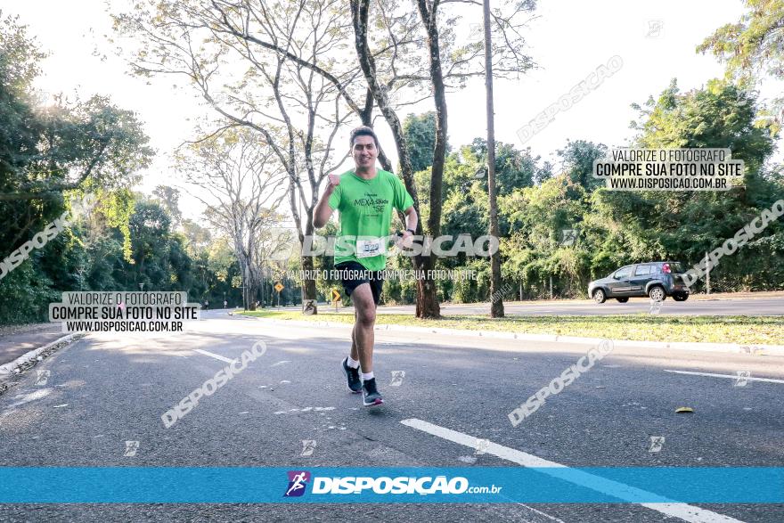 Corrida Mexa-se Pela Vida - Maringá