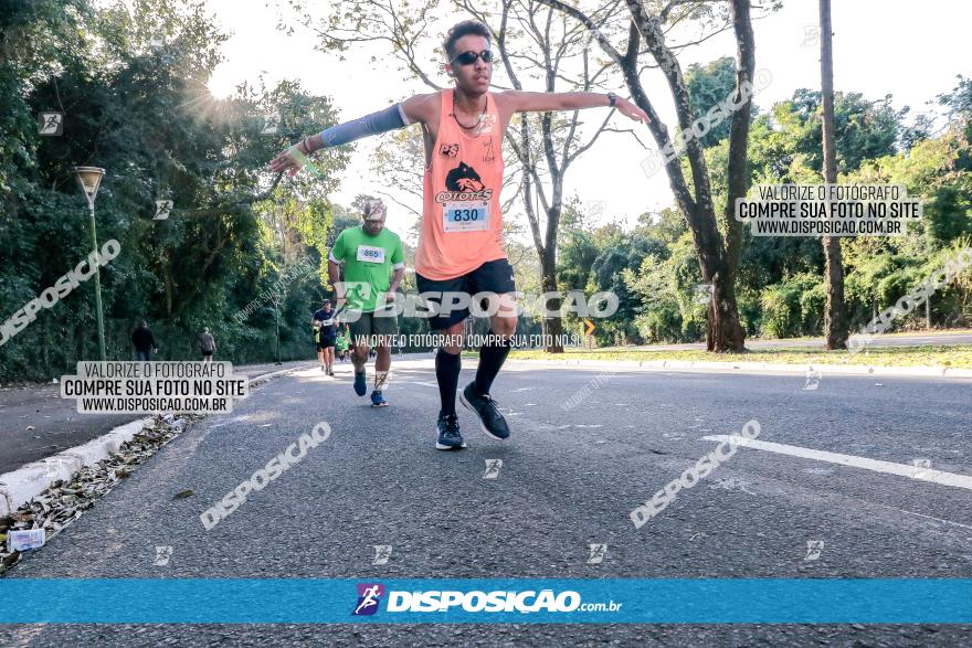 Corrida Mexa-se Pela Vida - Maringá