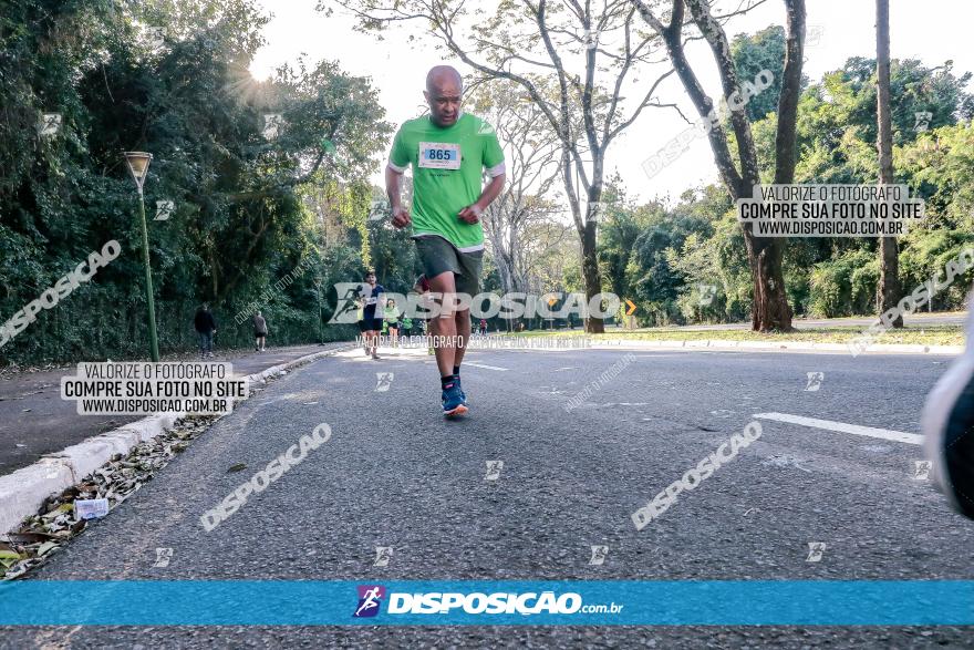 Corrida Mexa-se Pela Vida - Maringá