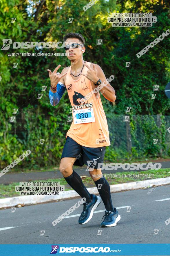 Corrida Mexa-se Pela Vida - Maringá