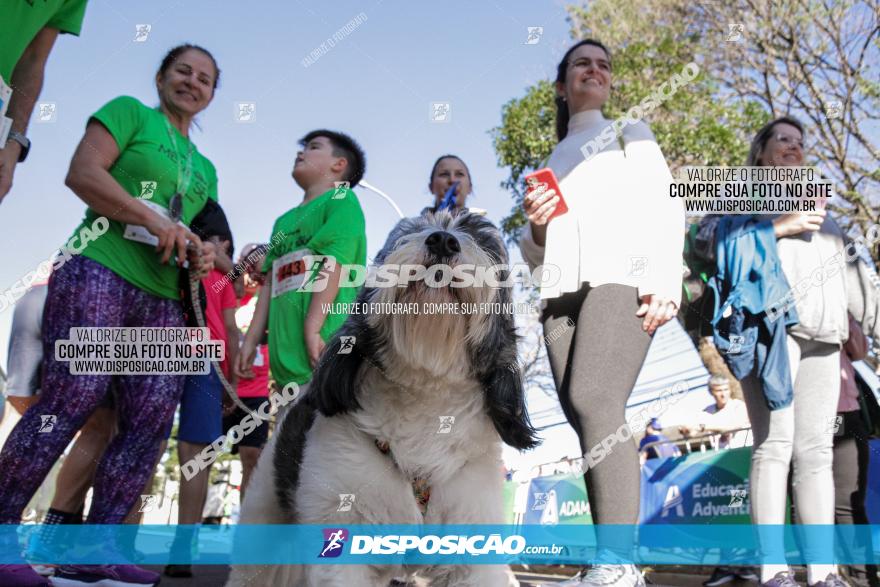 Corrida Mexa-se Pela Vida - Maringá