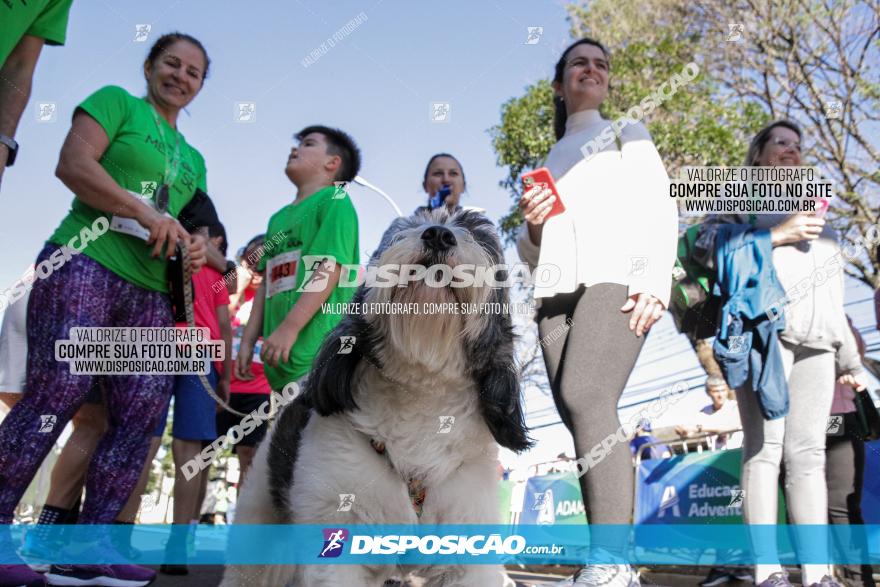 Corrida Mexa-se Pela Vida - Maringá