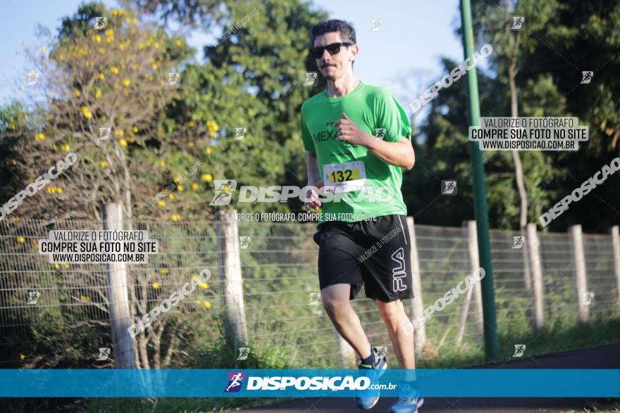 Corrida Mexa-se Pela Vida - Maringá