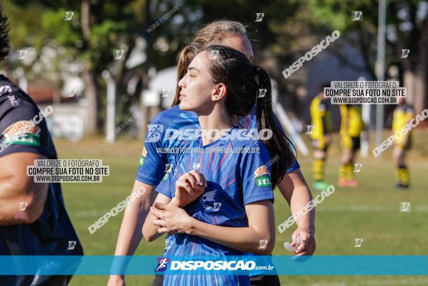 III Etapa do Campeonato Paranaense de Rugby