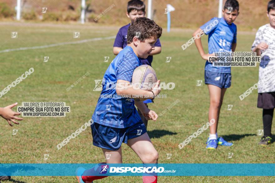 III Etapa do Campeonato Paranaense de Rugby