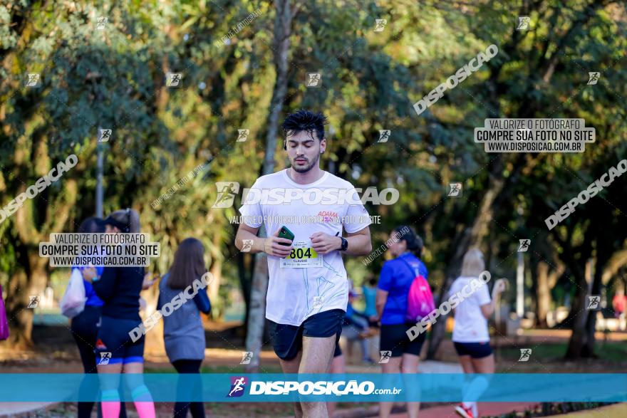 Corrida Mexa-se Pela Vida - Londrina