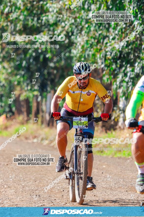 GP Godoy Moreira de XCM