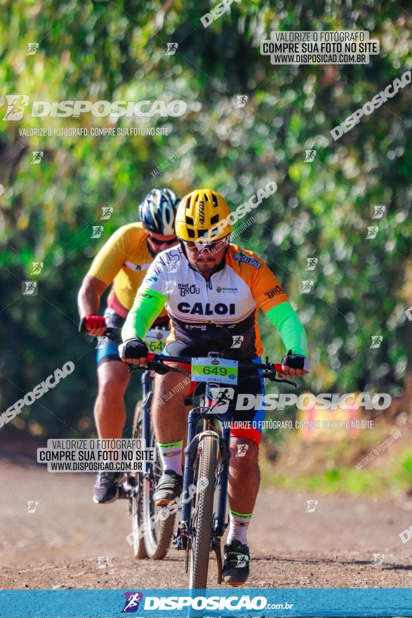 GP Godoy Moreira de XCM