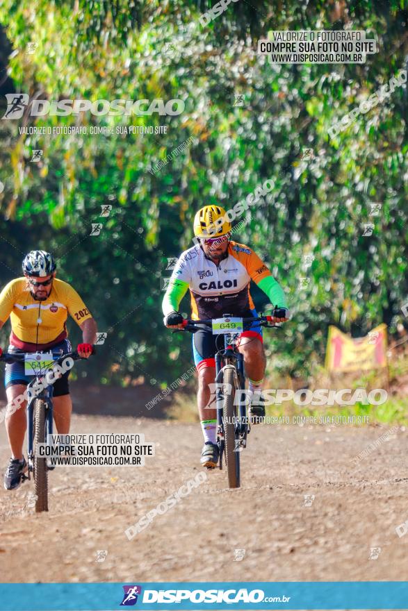 GP Godoy Moreira de XCM