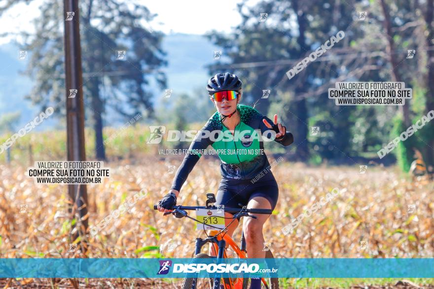 GP Godoy Moreira de XCM