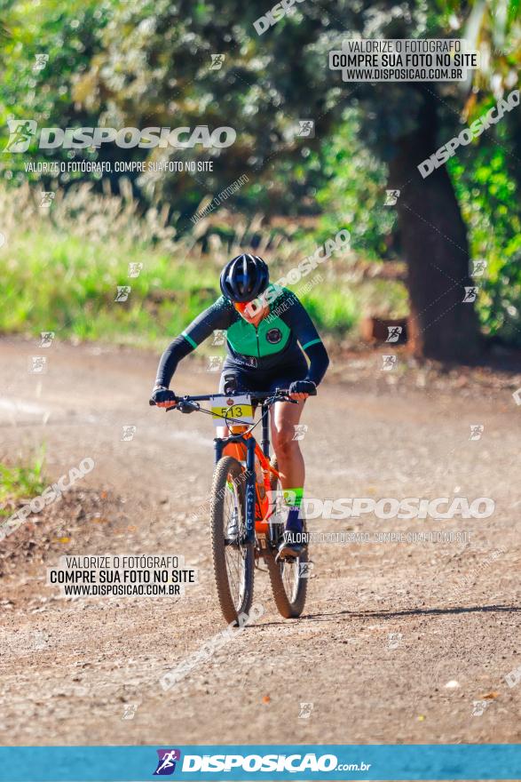 GP Godoy Moreira de XCM